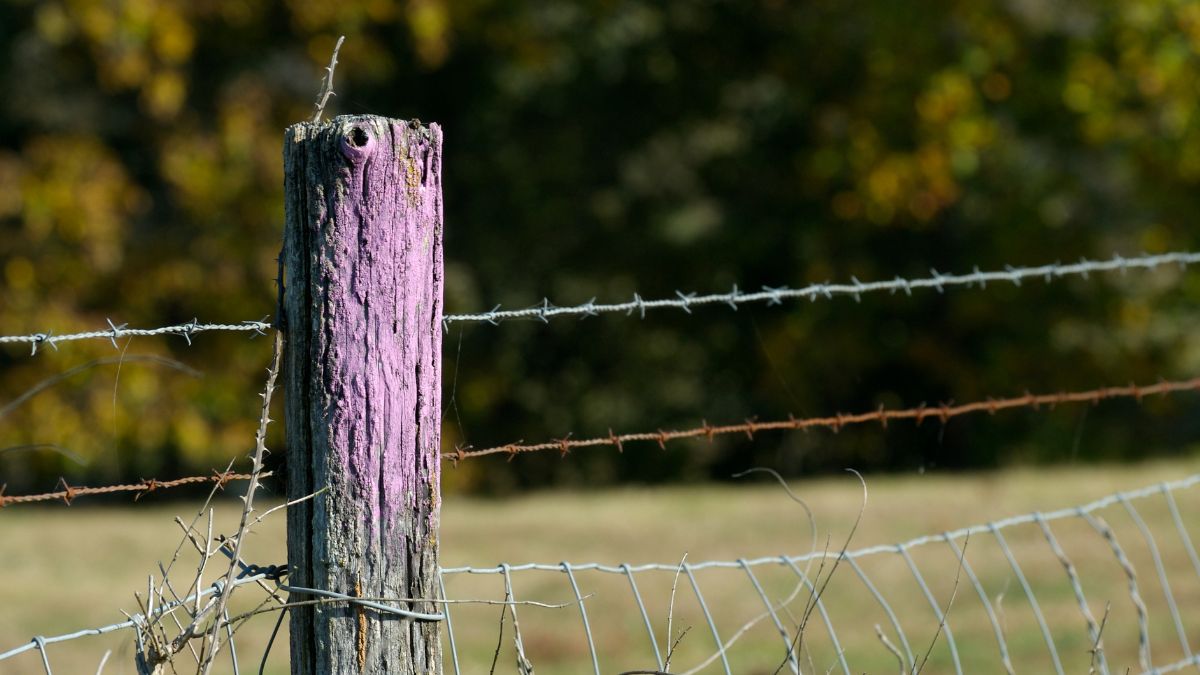 If You See A Fence Painted Purple, You Better Know What It Means 